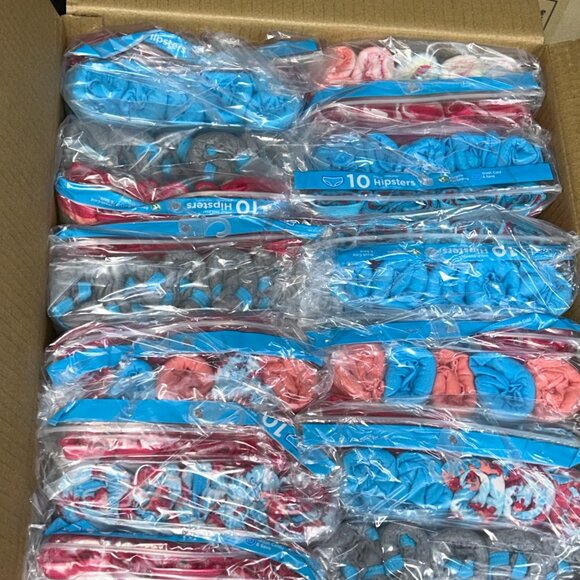 Hanes Girls’ Tagless Hipsters – LOT 31 - 240 pcs – 24 packs (10 ea) – Sz 14 -NEW - Picture 2 of 3